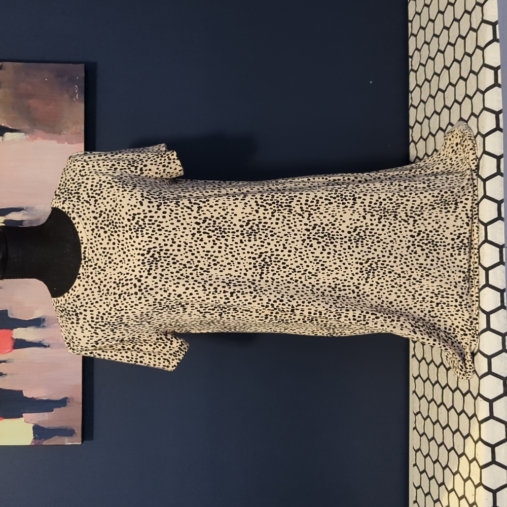 Express Jersey Dress